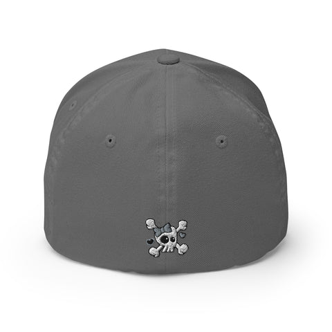 HSNE - Flexfit Hat